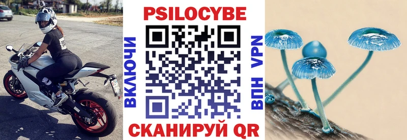 Купить закладки  Славгород  Псилоцибиновые грибы мухоморы 