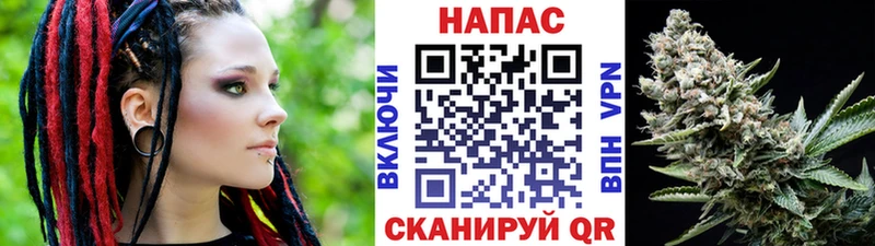 Купить  Славгород  Конопля план 